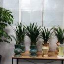 타임 행정사 사무소 이미지