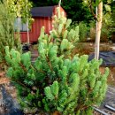 은색농장 이미지