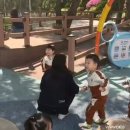 퐁당퐁당수리샘 Daum카페