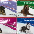 문산약국 이미지