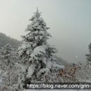 [지리산종주] 겨울 종주 (2004년 2월28,29)
