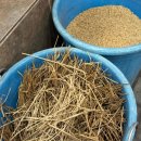 도네누 | 답십리 용답시장 삼겹살 맛집 도네누볏짚통삼겹살 가성비 솔직후기