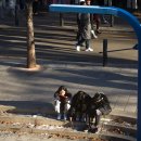 홍대입구역(경의중앙선) 이미지