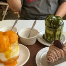 수원-0819 이미지