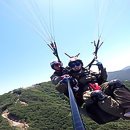 곡성-202 이미지