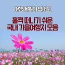 여행 계획이 없어도 훌쩍~ 떠나기 쉬운 `국내 가을여행지` 모음 이미지