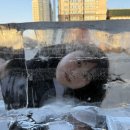 11650-17-154-4 | [중국] 1월 하얼빈 4박 5일 여행 총정리 | 일정 • 경비 • 현지인 맛집 공유