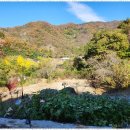 밸리펜션 이미지