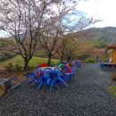 무라카데칼국수 이미지