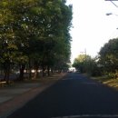 모모민박 이미지