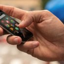 팜 (palm) 이미지