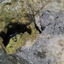 고요한바다펜션 이미지