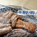 대창오피스