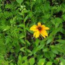 방태천민박 이미지