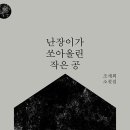 쏘아 이미지