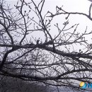 진해구 ⓒ-26 이미지