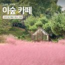 이숲 | 천안 이숲 카페 후기 - 가을에 가기 좋은 핑크뮬리 명소 카페