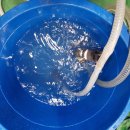 세정초등학교 이미지