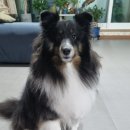 포미포밍 이미지