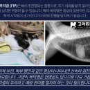 (주)고려메디칼 이미지