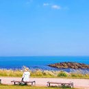 바다를 품은 산책, 전설이 깃든 오시리아 해안산책로│부산 기장 2.1km 걷기 코스 이미지