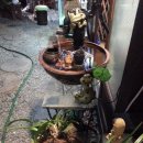 해물고모찜 이미지