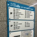 더바름동물병원 | 범계플라잉요가 요가바름 후기!