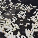 건동 농장 이미지