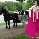 내고향 마차 이미지