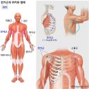 피트니스H PT 헬스 이미지