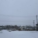 싸이다방 | 홋카이도 하코다테 (1) 🔹 눈 내리는 하코다테를 좋아하세요...