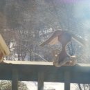 산뜨락펜션 이미지