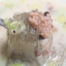 참 착한 정육점 이미지