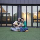 토실이네 애견 이미지