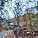 대전세종 산사랑 계족산성(계족산) 산행사진(2024.11.17) 이미지