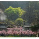 푸른잔디 이미지