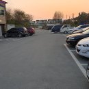 들풀 담소 이미지