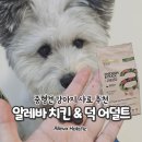 레바셀 | 강아지 사료 추천 홀리스틱 알레바 사료 치킨 앤 덕 어덜트 미니 내돈내산 후기