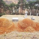 태안묘지이장.벌초
