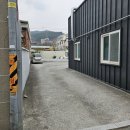 금돈카츠