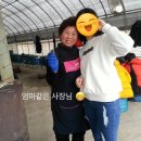 미영이네굴구이