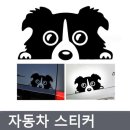 프리티도그 이미지