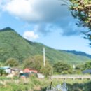 시종축산 이미지