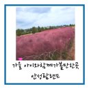 목우촌목동 | 가을 아이와 가볼만한 곳 안성 팜랜드 코스목동 축제