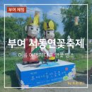 성왕로 | 부여 서동연꽃축제 기본정보 및 7월 여름 여행지 추천 궁남지 후기