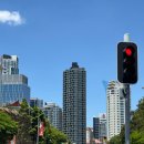 팜마켓 | [여자 혼자 호주여행] #7 브리즈번 웨스트엔드 마켓 후기｜크리스마스 시즌 해리스팜 방문