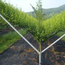 효재농장 이미지