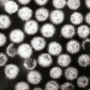 세븐웰약국 이미지