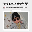 행복을 부르는 사주명리학 | 분당 신생아 작명소 명리학작명연구원 남자아기 이름 후기