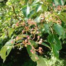 하나로 한의원 이미지